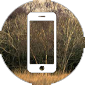 Blf-phone-button.png